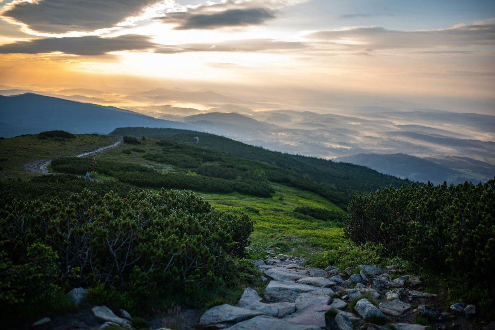朝日に照らされた山道